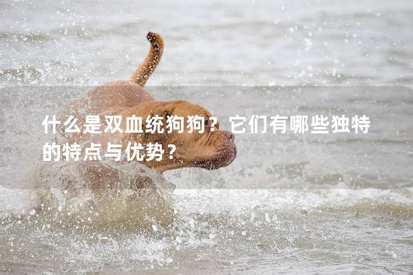 什么是雙血統狗狗？它們有哪些獨特的特點與優勢？