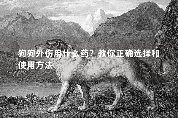 狗狗外傷用什么藥？教你正確選擇和使用方法