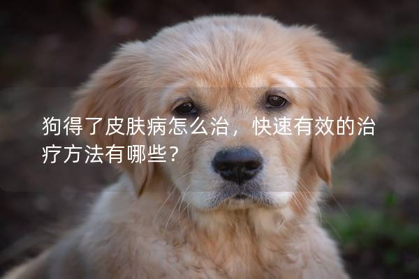 狗得了皮膚病怎么治，快速有效的治療方法有哪些？