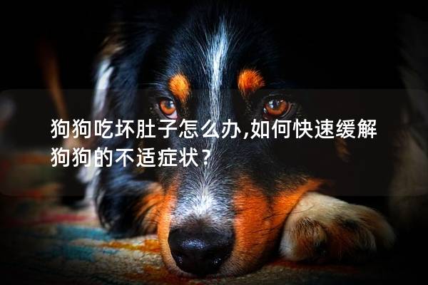 狗狗吃壞肚子怎么辦,如何快速緩解狗狗的不適癥狀？