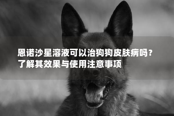 恩諾沙星溶液可以治狗狗皮膚病嗎？了解其效果與使用注意事項