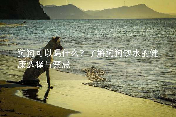 狗狗可以喝什么？了解狗狗飲水的健康選擇與禁忌
