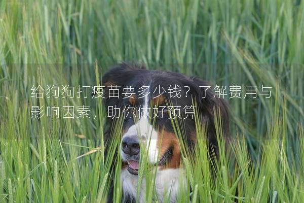 給狗狗打疫苗要多少錢？了解費用與影響因素，助你做好預算