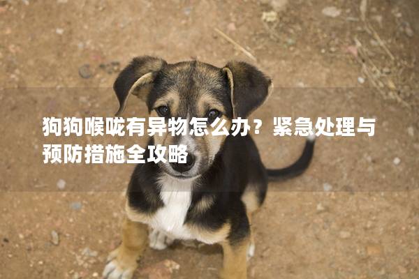 狗狗喉嚨有異物怎么辦？緊急處理與預防措施全攻略