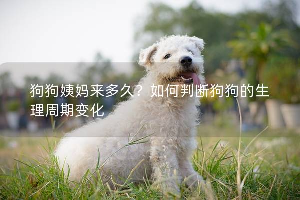 狗狗姨媽來多久？如何判斷狗狗的生理周期變化