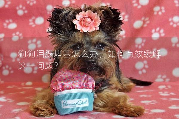 狗狗淚腺堵塞怎么辦，如何有效緩解這一問題？