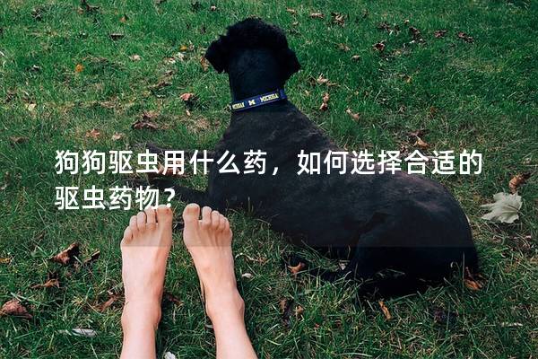 狗狗驅蟲用什么藥，如何選擇合適的驅蟲藥物？