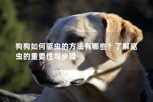 狗狗如何驅蟲的方法有哪些?了解驅蟲的重要性與步驟 狗狗如何驅蟲的方法有哪些?了解驅蟲的重要性與步驟
