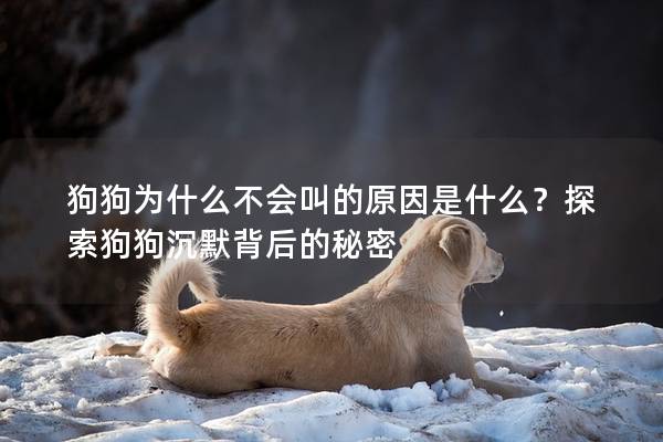 狗狗為什么不會叫的原因是什么？探索狗狗沉默背后的秘密