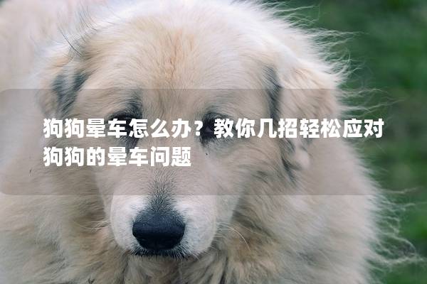 狗狗暈車怎么辦？教你幾招輕松應對狗狗的暈車問題