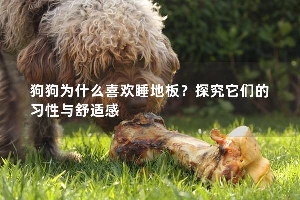 狗狗為什么喜歡睡地板？探究它們的習性與舒適感