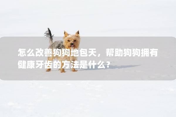 怎么改善狗狗地包天，幫助狗狗擁有健康牙齒的方法是什么？