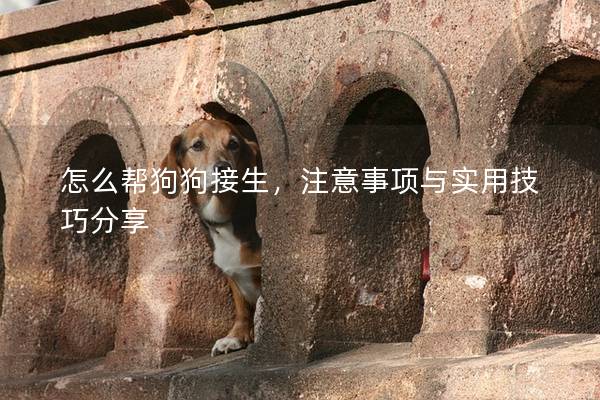 怎么幫狗狗接生，注意事項與實用技巧分享