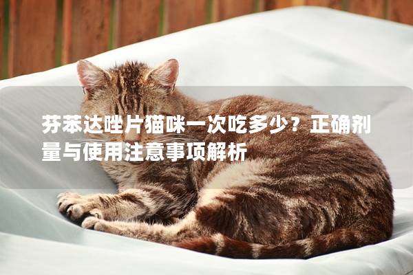 芬苯達唑片貓咪一次吃多少?正確劑量與使用注意事項解析