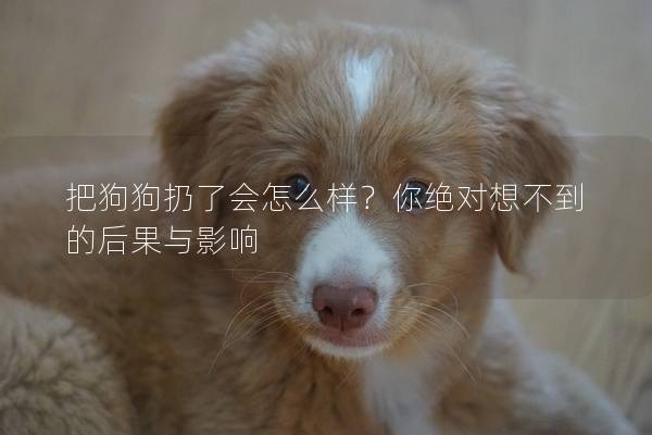 把狗狗扔了會怎么樣？你絕對想不到的后果與影響