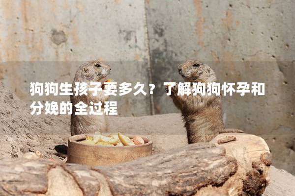 狗狗生孩子要多久？了解狗狗懷孕和分娩的全過程