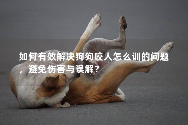 如何有效解決狗狗咬人怎么訓(xùn)的問題，避免傷害與誤解？