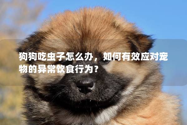 狗狗吃蟲子怎么辦，如何有效應對寵物的異常飲食行為？