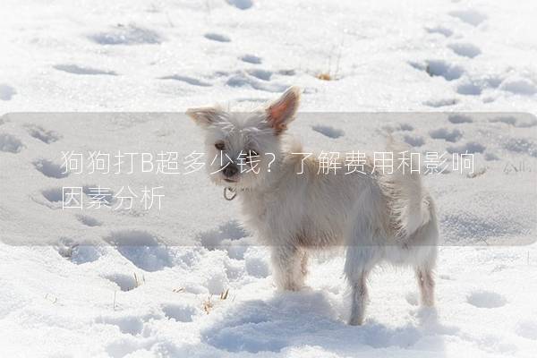狗狗打B超多少錢(qián)？了解費(fèi)用和影響因素分析