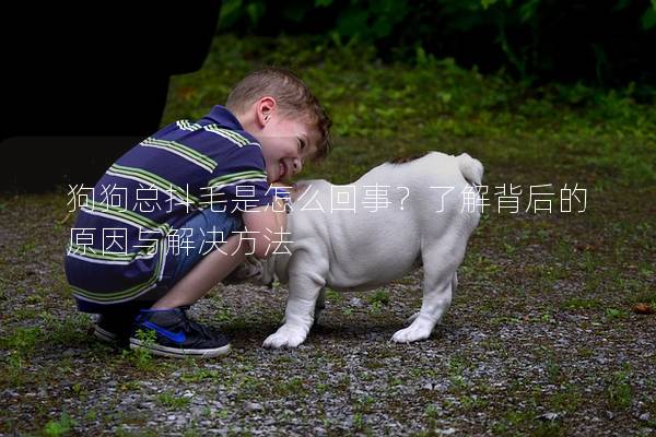 狗狗總抖毛是怎么回事？了解背后的原因與解決方法