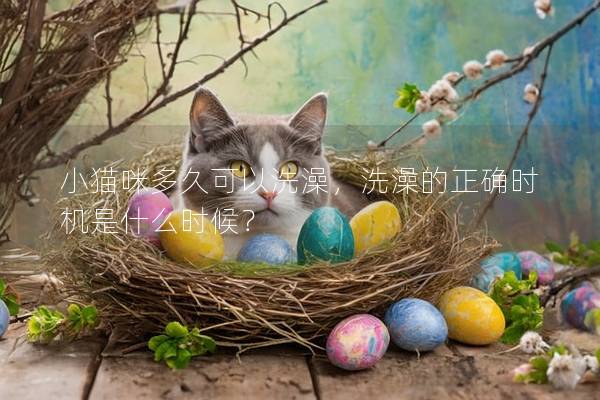 小貓咪多久可以洗澡，洗澡的正確時機是什么時候？