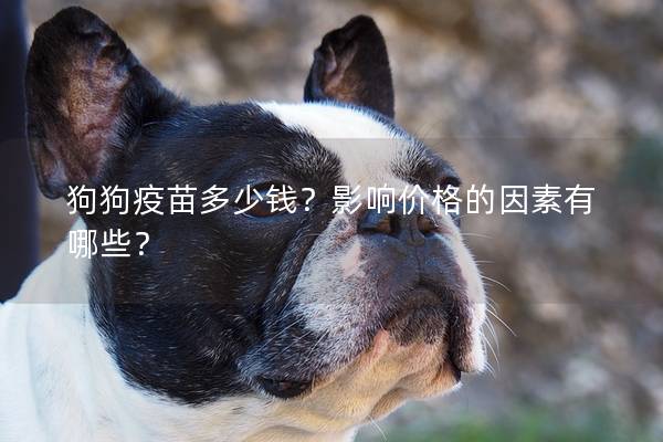 狗狗疫苗多少錢？影響價格的因素有哪些？
