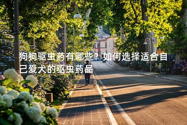 狗狗驅蟲藥有哪些？如何選擇適合自己愛犬的驅蟲藥品