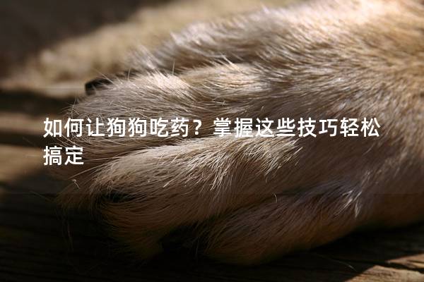 如何讓狗狗吃藥？掌握這些技巧輕松搞定