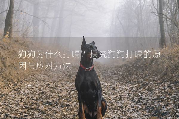 狗狗為什么打嗝？探究狗狗打嗝的原因與應(yīng)對(duì)方法