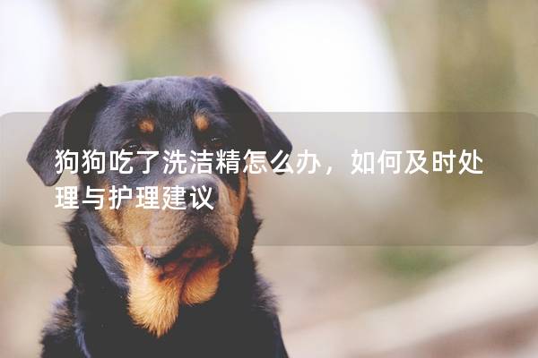 狗狗吃了洗潔精怎么辦，如何及時(shí)處理與護(hù)理建議