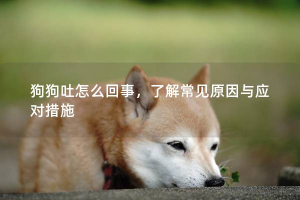 狗狗吐怎么回事，了解常見原因與應對措施