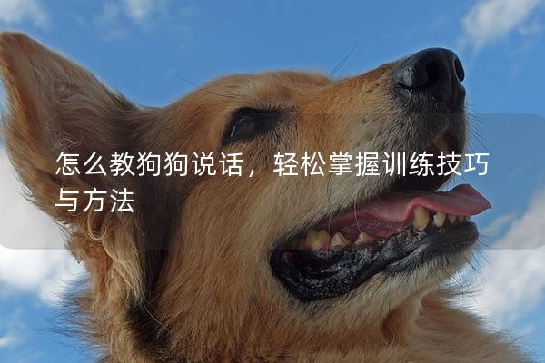 怎么教狗狗說話，輕松掌握訓練技巧與方法