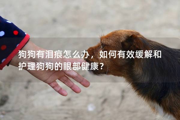 狗狗有淚痕怎么辦，如何有效緩解和護(hù)理狗狗的眼部健康？