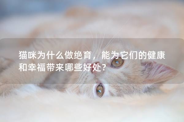 貓咪為什么做絕育，能為它們的健康和幸福帶來哪些好處？