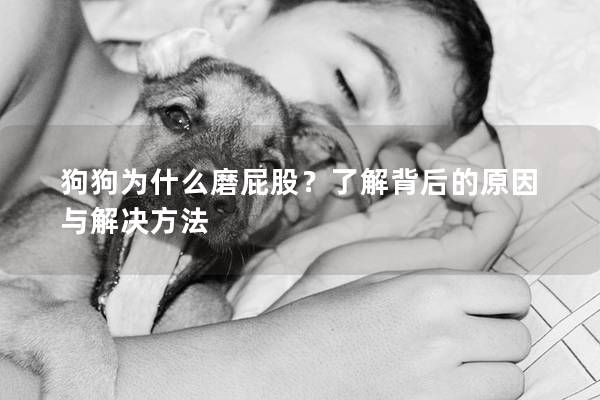狗狗為什么磨屁股？了解背后的原因與解決方法