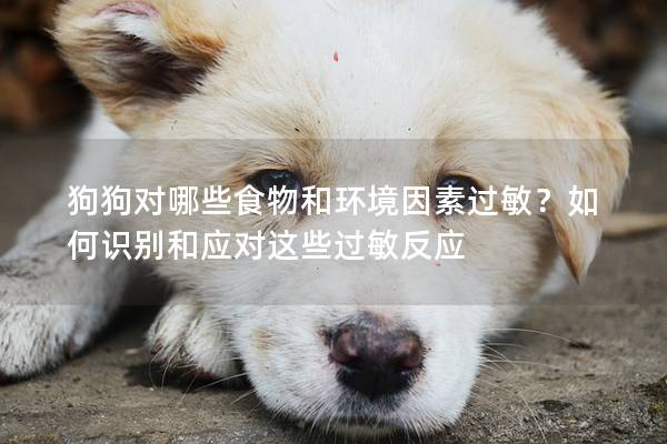 狗狗對哪些食物和環(huán)境因素過敏？如何識別和應對這些過敏反應