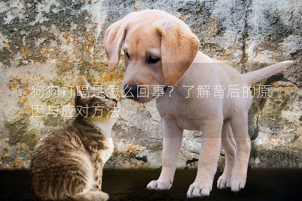 狗狗打嗝是怎么回事？了解背后的原因與應對方法