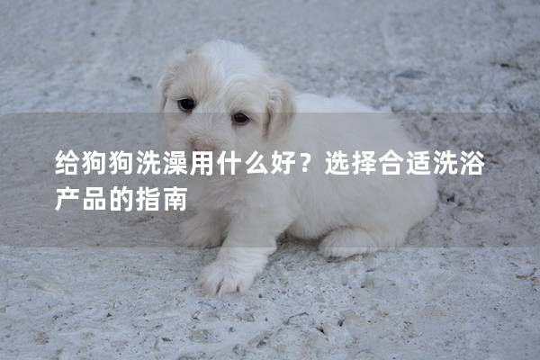 給狗狗洗澡用什么好？選擇合適洗浴產(chǎn)品的指南
