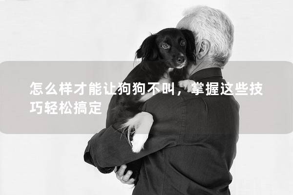 怎么樣才能讓狗狗不叫，掌握這些技巧輕松搞定