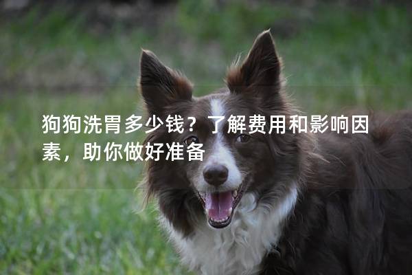 狗狗洗胃多少錢?了解費用和影響因素,助你做好準備 狗狗洗胃多少錢?了解費用和影響因素,助你做好準備