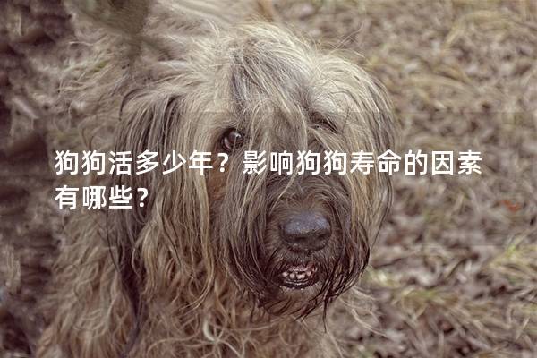 狗狗活多少年？影響狗狗壽命的因素有哪些？