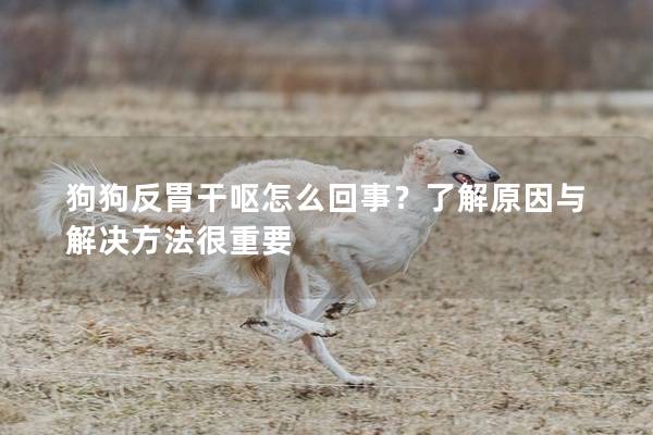 狗狗反胃干嘔怎么回事?了解原因與解決方法很重要