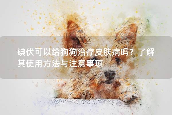 碘伏可以給狗狗治療皮膚病嗎？了解其使用方法與注意事項