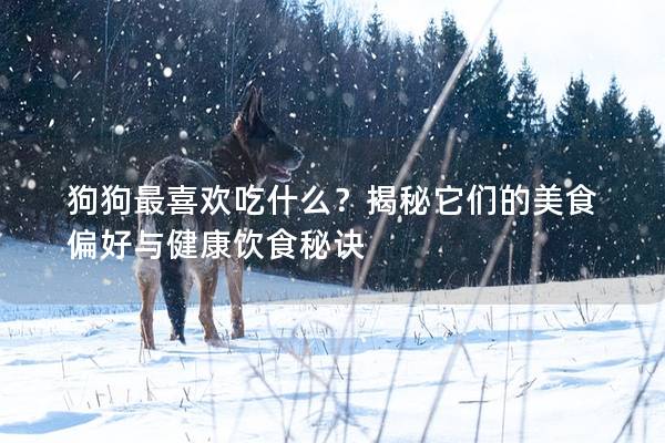 狗狗最喜歡吃什么？揭秘它們的美食偏好與健康飲食秘訣