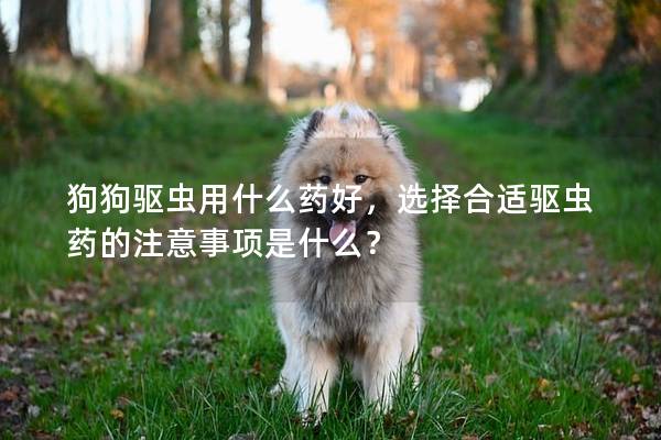 狗狗驅(qū)蟲(chóng)用什么藥好，選擇合適驅(qū)蟲(chóng)藥的注意事項(xiàng)是什么？