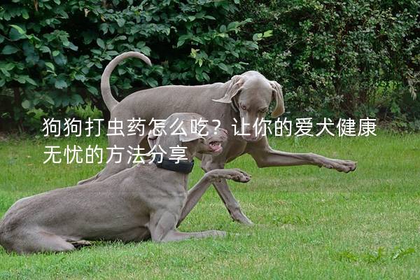 狗狗打蟲藥怎么吃？讓你的愛犬健康無憂的方法分享