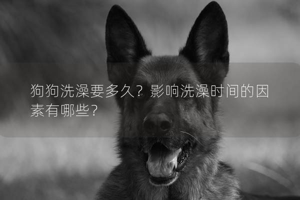 狗狗洗澡要多久？影響洗澡時間的因素有哪些？