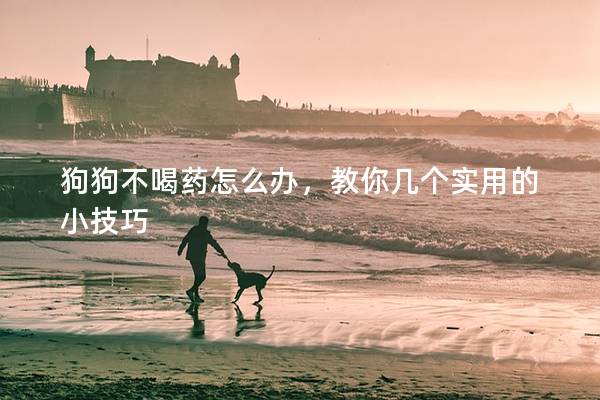 狗狗不喝藥怎么辦,教你幾個實用的小技巧 狗狗不喝藥怎么辦,教你幾個實用的小技巧