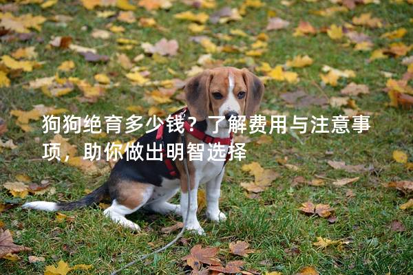 狗狗絕育多少錢?了解費用與注意事項,助你做出明智選擇 狗狗絕育多少錢?了解費用與注意事項,助你做出明智選擇