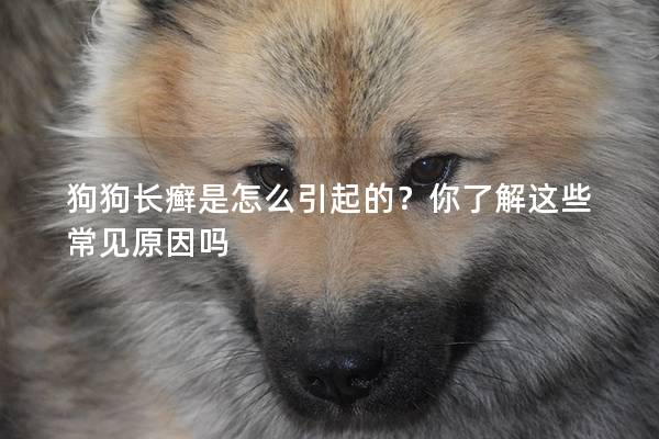 狗狗長癬是怎么引起的?你了解這些常見原因嗎 狗狗長癬是怎么引起的?你了解這些常見原因嗎
